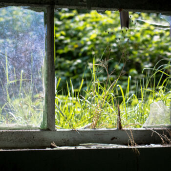 Fotografie mit dem Titel "broken window" von J.D. Curry, Original-Kunstwerk