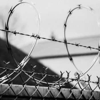 摄影 标题为“barbed wire” 由J.D. Curry, 原创艺术品