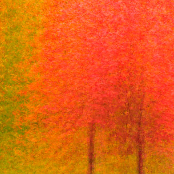 Фотография под названием "Maple Monet" - John Pingree, Подлинное произведение искусства, Цифровая фотография