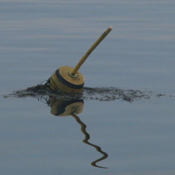 Photography titled "Lobster Pot" by Jack Welch, Original Artwork