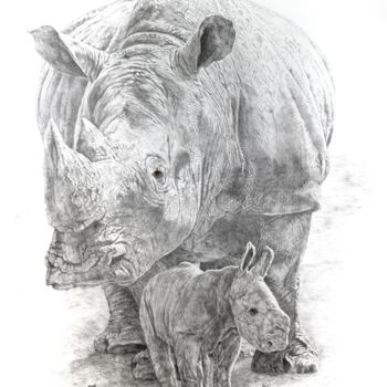 Tekening getiteld "Rhinocéros blanc" door Jacek Ciecierski, Origineel Kunstwerk, Potlood