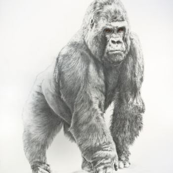 Dibujo titulada "Gorille de montagne" por Jacek Ciecierski, Obra de arte original, Lápiz