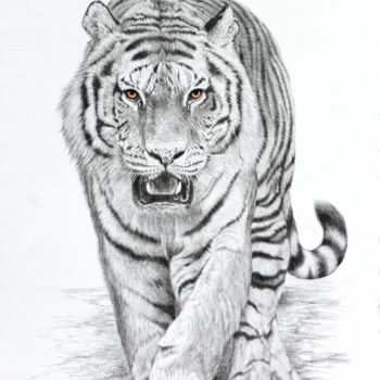 Dessin intitulée "Tigre" par Jacek Ciecierski, Œuvre d'art originale, Graphite