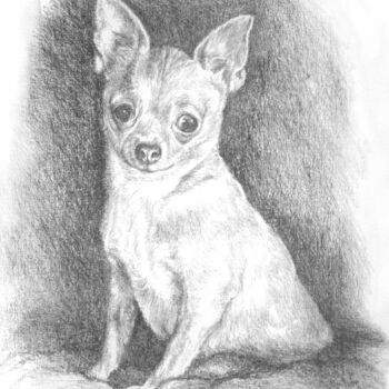 Dibujo titulada "Chihuahua" por Jacek Ciecierski, Obra de arte original, Lápiz