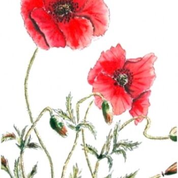Painting titled "Les 2 coquelicots" by Jacky Roger, Original Artwork, Oil