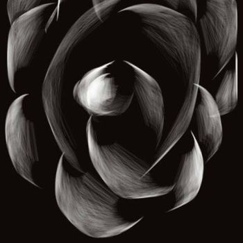 Arts numériques intitulée "la rose noire" par Jacky Patin, Œuvre d'art originale
