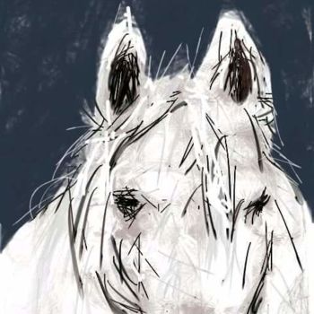 Digitale Kunst mit dem Titel "Le cheval blanc" von Jacky Patin, Original-Kunstwerk