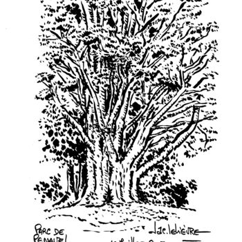 「Pen-avel au Croisic」というタイトルの描画 Jacques Lelievreによって, オリジナルのアートワーク, インク