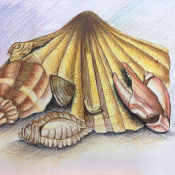Drawing titled "Shell" by Jacob Tham Kai Yang, Original Artwork, Pencil