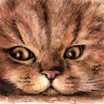 Peinture intitulée "Tête de chat." par Jacques Copau, Œuvre d'art originale, Huile