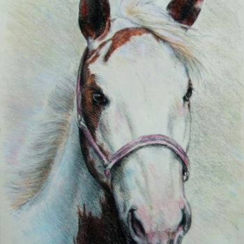 Картина под названием "Tête de cheval" - Jacques Copau, Подлинное произведение искусства, Масло