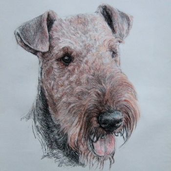 Painting titled "Portrait airedale" by Jacques Copau, Original Artwork, Oil