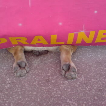 Pralines