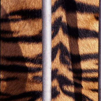 摄影 标题为“Bengali doré - tigr…” 由Jacques Jégo, 原创艺术品