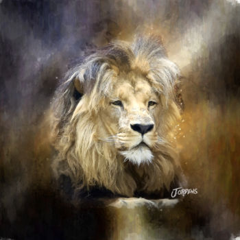 "2018-8-28-lion.jpg" başlıklı Dijital Sanat Jacques Jordens tarafından, Orijinal sanat, Dijital Resim