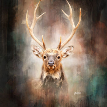 "Attentive deer - Ce…" başlıklı Tablo Jacques Jordens tarafından, Orijinal sanat, Akrilik