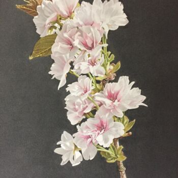 Painting titled "Cerisier fleur.jpeg" by Jacques Rolland, Original Artwork, Pastel