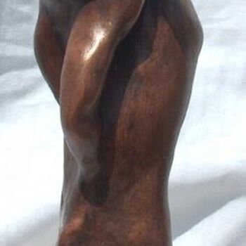 Escultura titulada "repli" por Jacques Stauffert, Obra de arte original, Metales