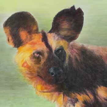 Painting titled "CHIEN SAUVAGE AUX G…" by Jacques Tafforeau, Original Artwork, Watercolor