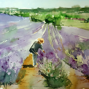 Painting titled "Campos de lavanda" by Jacques Villares, Original Artwork, Watercolor