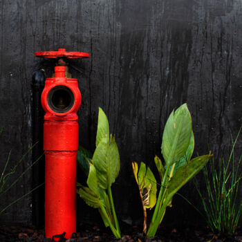 Photography titled "Fire Hydrant" by Jade Holing, Original Artwork, Digital Photography