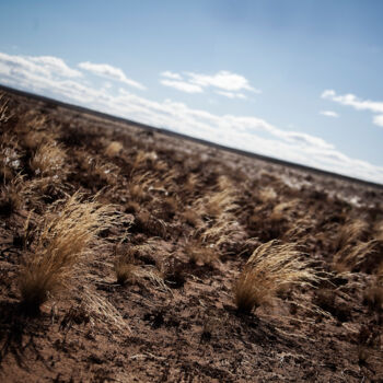 Photography titled "Karoo Grassland" by Jade Holing, Original Artwork, Digital Photography