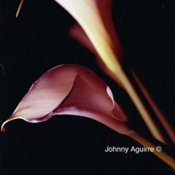 Photography titled "Junto" by Johnny Aguirre, Original Artwork