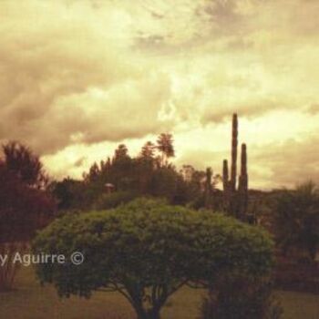 Photography titled "San Roque" by Johnny Aguirre, Original Artwork