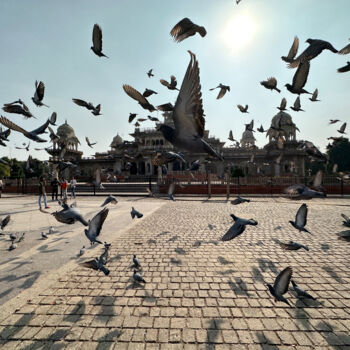 Photography titled "Pigeons in front of…" by James Gritz, Original Artwork, Digital Photography