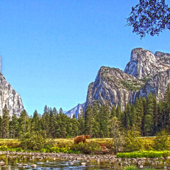 Fotografie mit dem Titel "Yosemite Creekside…" von James Morris, Original-Kunstwerk, Manipulierte Fotografie Auf Holzplatte…