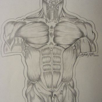 Arts numériques intitulée "anatomy pencil draw…" par Jms Designs, Œuvre d'art originale