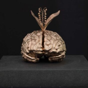 Sculpture titled "The Brain of the 1s…" by Jan Fabre, Original Artwork