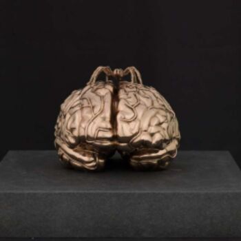Sculptuur getiteld "The Brain of the Bl…" door Jan Fabre, Origineel Kunstwerk