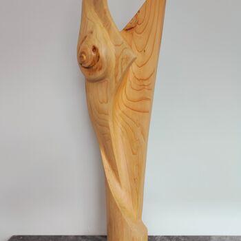 Скульптура под названием "Imperfection" - Jan Van Braekel, Подлинное произведение искусства, Дерево