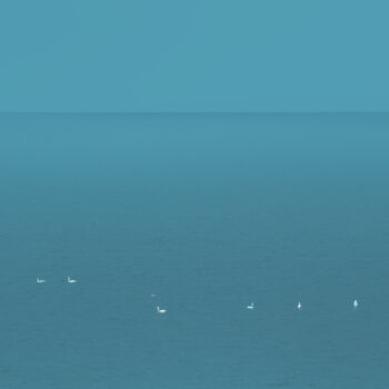 Photography titled "Lonely swans" by Jan Walczewski, Original Artwork, Digital Photography
