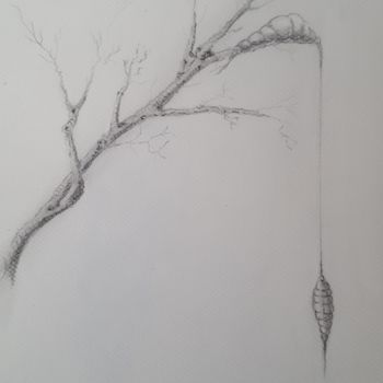 Drawing titled "Before you can fly." by Jan Schrijver, Original Artwork, Pencil
