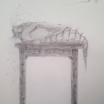 Drawing titled "When does it open?" by Jan Schrijver, Original Artwork, Pencil