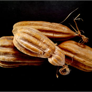 Photographie intitulée "Composition in seed" par Jan Schrijver, Œuvre d'art originale