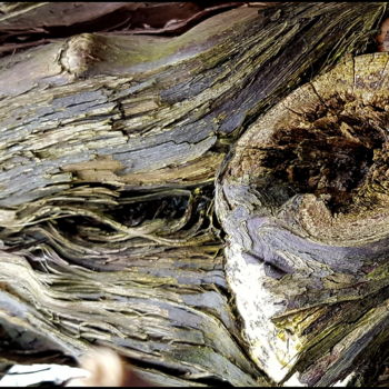 Fotografie mit dem Titel "River of wood." von Jan Schrijver, Original-Kunstwerk