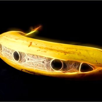 Digital Arts titled "Banana" by Jan Schrijver, Original Artwork, Other