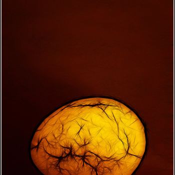 Фотография под названием "Egg from an early b…" - Jan Schrijver, Подлинное произведение искусства
