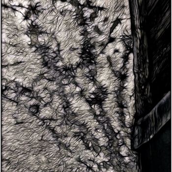 Photography titled "Mycelium" by Jan Schrijver, Original Artwork, Manipulated Photography