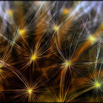 Photography titled "Sparkling" by Jan Schrijver, Original Artwork, Digital Photography