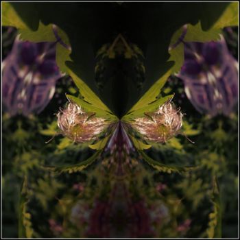 Arts numériques intitulée "Butterfly" par Jan Schrijver, Œuvre d'art originale, Photo montage