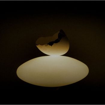 Φωτογραφία με τίτλο "Egg shell compositi…" από Jan Schrijver, Αυθεντικά έργα τέχνης