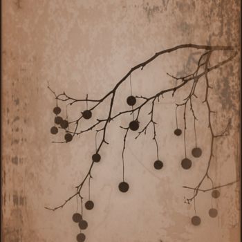 Fotografia intitolato "Composition of twigs" da Jan Schrijver, Opera d'arte originale, Fotografia manipolata