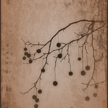 Photography titled "Composition of twigs" by Jan Schrijver, Original Artwork, Manipulated Photography