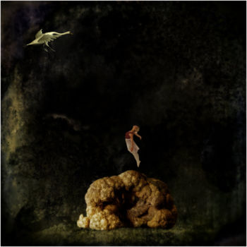 Digital Arts titled "Little ballerina" by Jan Schrijver, Original Artwork, Photo Montage