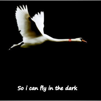 「So i can fly in the…」というタイトルのデジタルアーツ Jan Schrijverによって, オリジナルのアートワーク, 写真モンタージュ