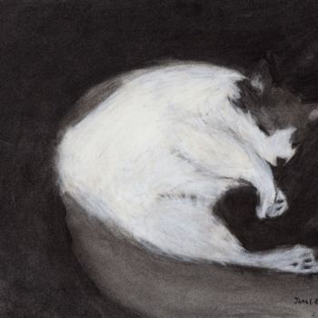 Dessin intitulée "Thomas taking a Nap" par Janel Bragg, Œuvre d'art originale, Fusain